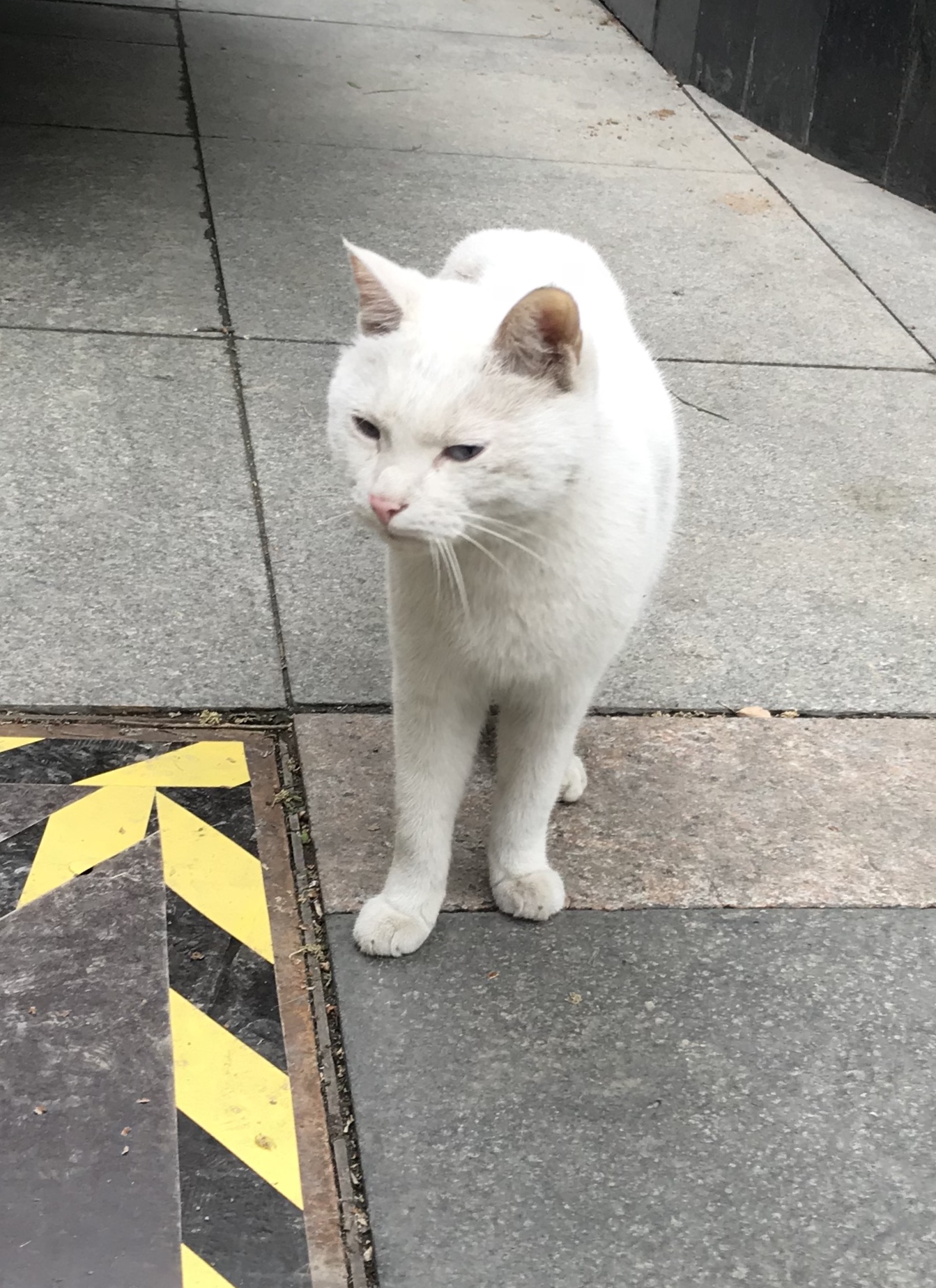 ./2018/03 - Viking China/11 - Xian/IMG_E6566.JPG